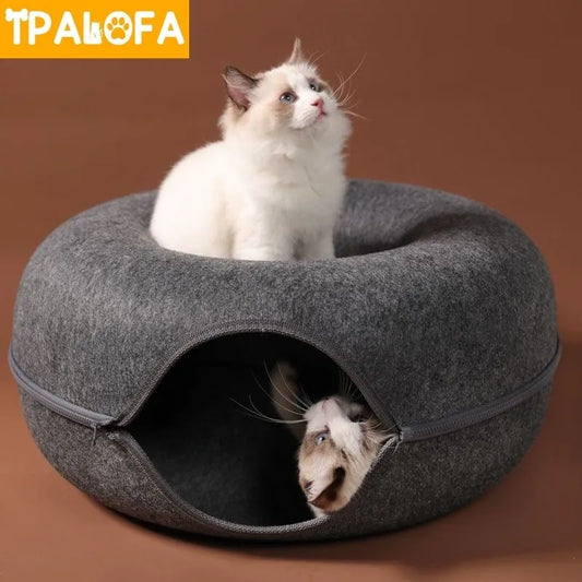 Cat House Cat Tunnel